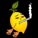 🍋 Limoneros | Humildes y asociados