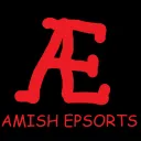 Amish Esports