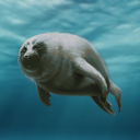 Discovery icon for The Seal Gang Discord server