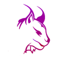 𝙇𝙔𝙉𝙓 𝙀𝙎𝙋𝙊𝙍𝙏𝙎 𝙊𝙁𝙄𝘾𝙄𝘼𝙇