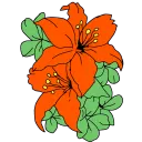 ×🍊꒰ 𝒏𝒐𝒕𝒑𝒂𝒅 𝒐𝒓𝒂𝒏𝒈𝒆 ꒱🍊×