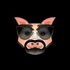 EL CHIQUERO DEL PUERCO