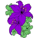 ×🍇꒰𝒏𝒐𝒕𝒑𝒂𝒅 𝐩𝐮𝐫𝐩𝐥𝐞꒱🍇×