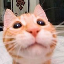 Not NSFW ;) Server Icon