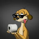 Fool Meerkats Owners