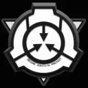 Mobile Task Forces