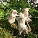 🐭| Bueiro das Ratas