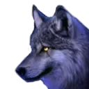 Ima's wolf pack