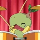 Turtwig Den