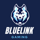 > BlueLink Gaming ◇