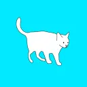 An Unusual Cat