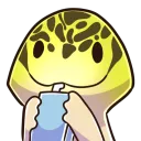 Gekko's eggos