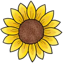 The Sunny Corner