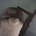 drama llama Discord Server Icon