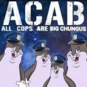 The Chungus Project TM
