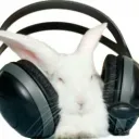 Bunny's Burrow