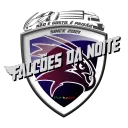 Falcões da Noite