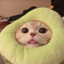 AIAS Association Discord server icon