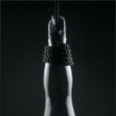 The Naked Lounge Server Icon