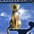 WEEファンサーバー