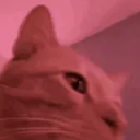 𝙂𝙄𝙑𝙀𝘼𝙒𝘼𝙔𝙎 ™