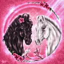 Ainara Open Server