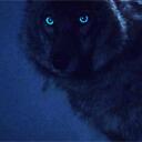 Wolves Den Discord Server Icon