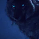 Wolves Den Discord Server Icon