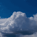 ✸ 𝐓𝐡𝐞 𝐘𝐨𝐤𝐚𝐢 𝐆𝐫𝐨𝐯𝐞