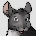 Kayla's Chinchilla Club