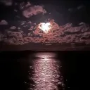 ・❥・MOONLIGHTERS・❥・|| Road to 200!❤||'s icon