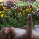 IS WHAT IT IS Discord server icon