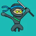 Ugly Ninjas