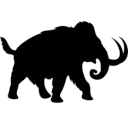 Scam Network