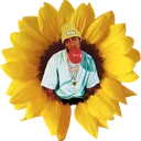 𝐓𝐡𝐞 𝐅𝐞𝐥𝐥𝐚𝐬