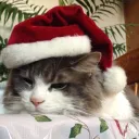 The Final Christmas