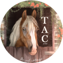 the art cottage 🍄🐝