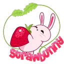 🍓BINGUS NATION🍓