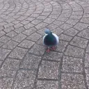 暇人の集い