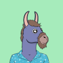 Flunk Donkeys