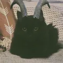 The Delusional hangout's icon