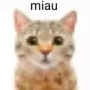 ballsack land's icon