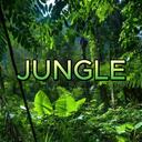 Jungle Discord Server Icon