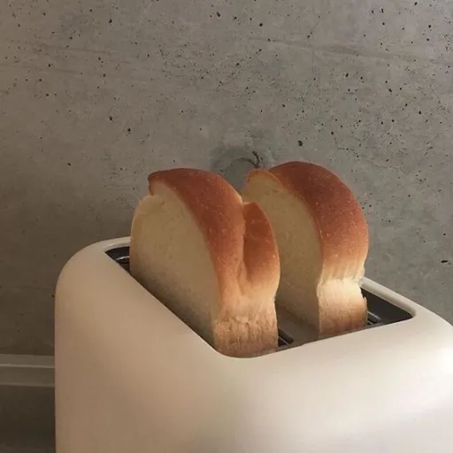 clownbread — мониторинг Discord сервера, статистика и рейтинг