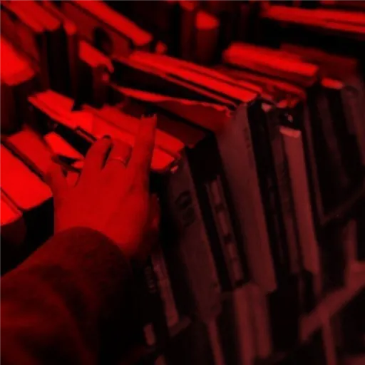 🔺 Red Book 🔻 — мониторинг Discord сервера, статистика и рейтинг