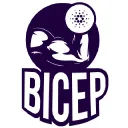 BICEP Crypto Alpha