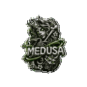 MEDUSA 3.0 #STAYONTOP