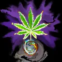 Terra Pothecary