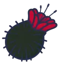 Arctium Club