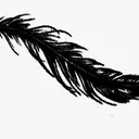 Rowen_Blackwing_Gaming